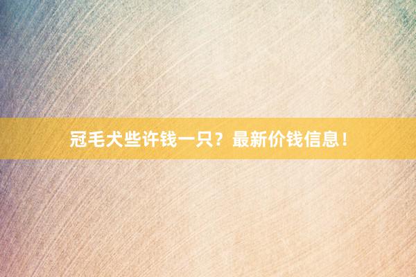 冠毛犬些许钱一只？最新价钱信息！