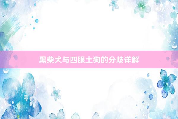 黑柴犬与四眼土狗的分歧详解
